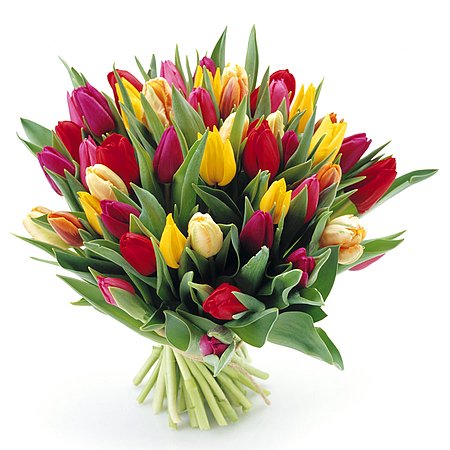Bukiet 35 Tulipanów Kolorowych
